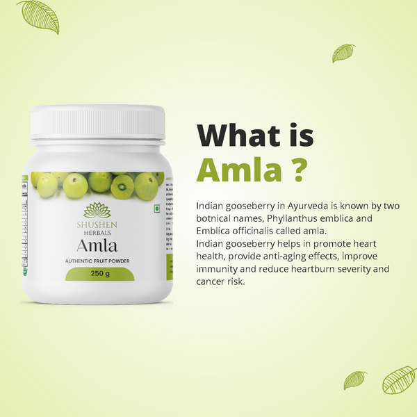 Authentic Amla Churna | Natural Immune Booster and Rejuvenator | 250 g