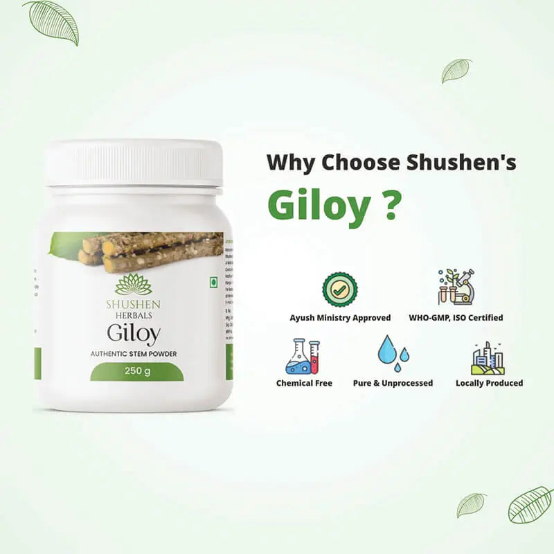 Authentic Giloy Powder For Immunity And Protection - Shushen Herbals