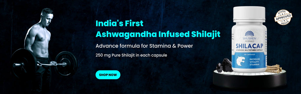 pure-shiljit-shilajeet-capsule-best-for-stamina-strength