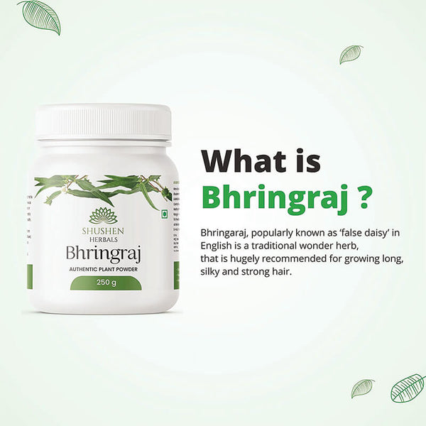Shushen Herbal Authentic Bhringraj Powder 